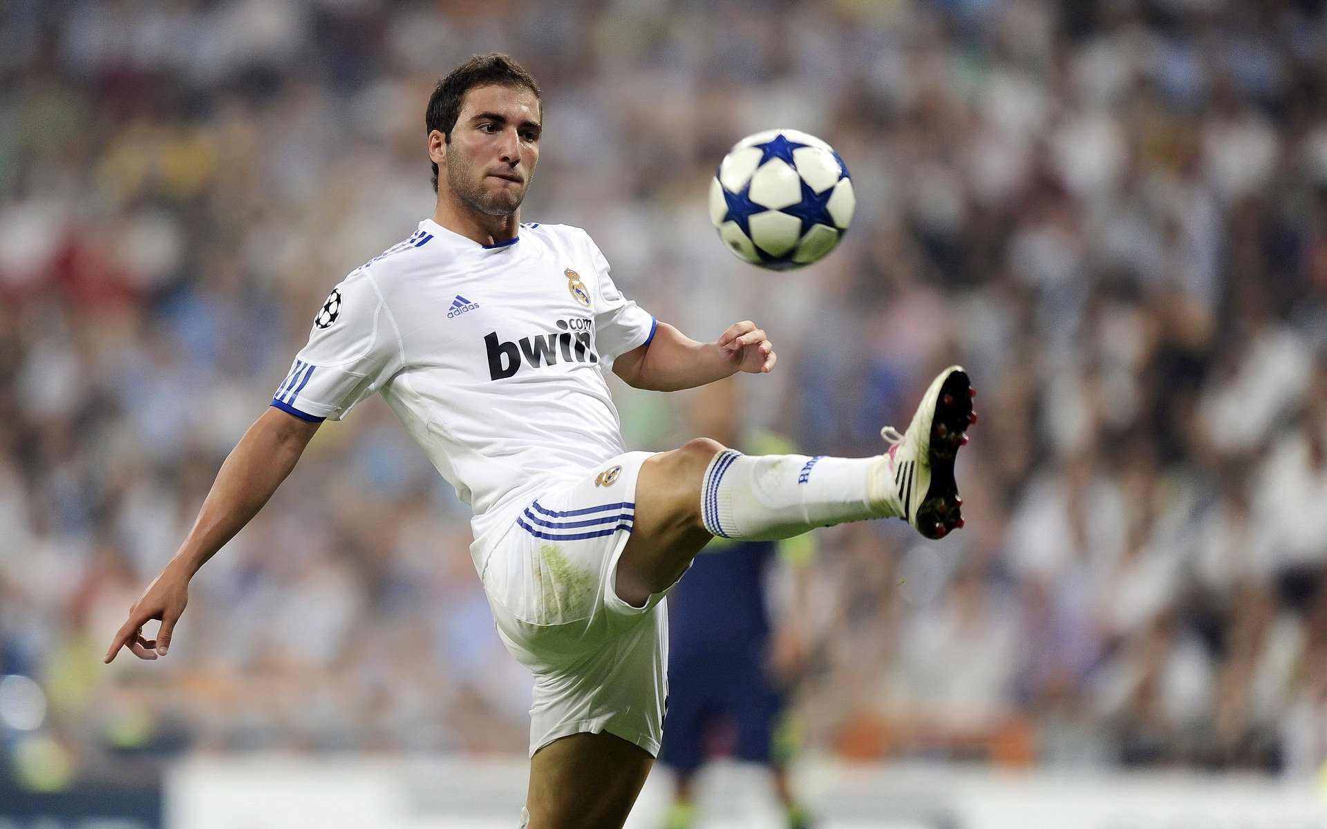 未来预兆：哪些年轻球员值得期待？，现役年轻球员